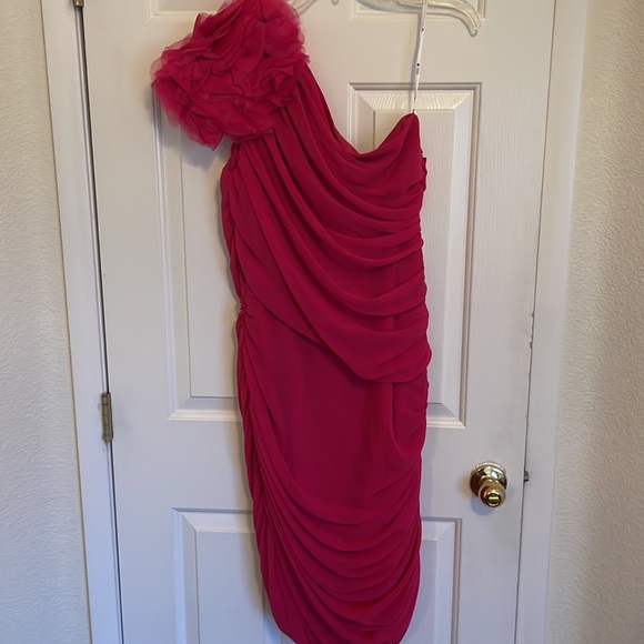 NWT One shoulder pink dress - Picture 3 of 3